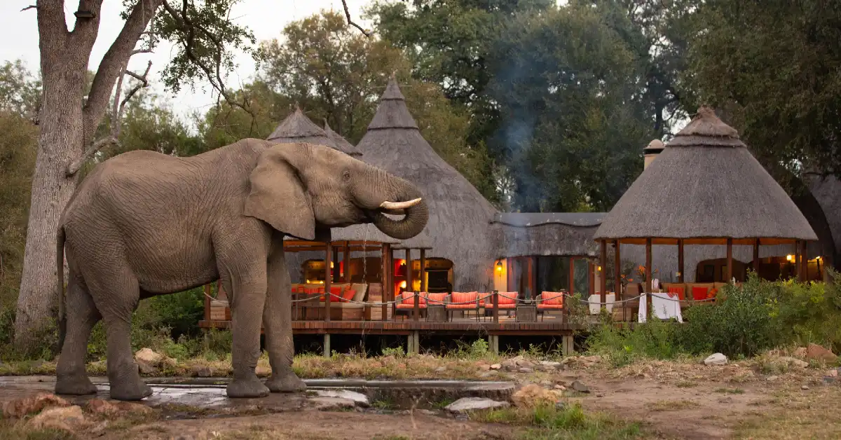 Hoyo Hoyo Safari Lodge (Kruger) – Best rates and Offers – Africa A-Z